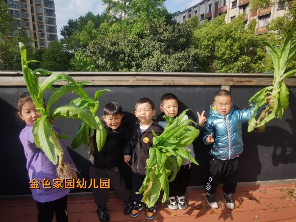 附件：IMG_20230407_153157.jpg