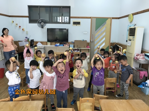 附件：IMG_1737.JPG