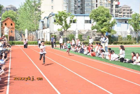 附件：DSC_0260.jpg