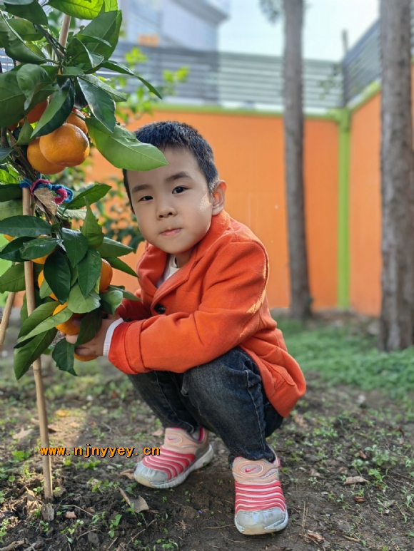 附件：1B00A81C5645C6553C711D8C7B5641F4.jpg