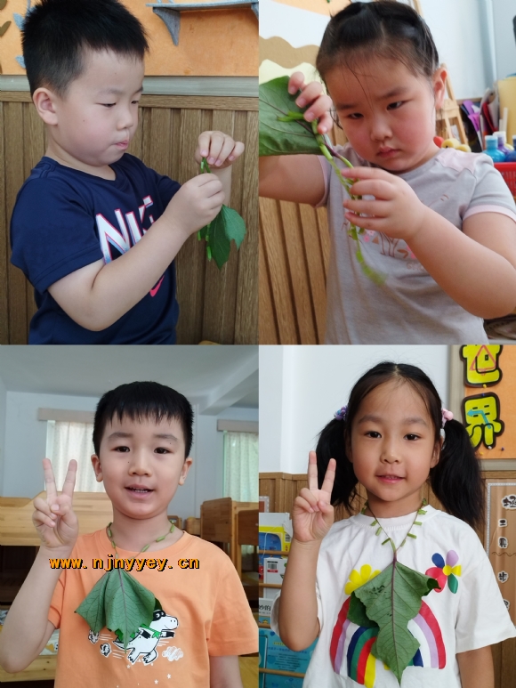 附件：8.jpg