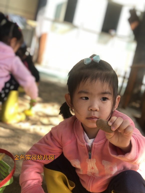 附件：292735B47FB16CAF8EE25878F5340211.JPG