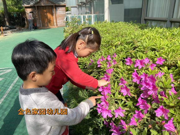 附件:IMG_0362.JPG 附件:IMG_0362.JPG