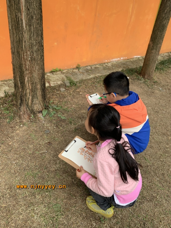 附件：IMG_6305.JPG
