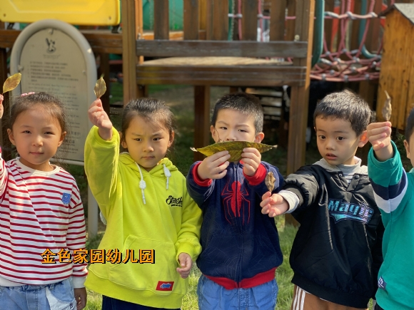 附件：IMG_2205.JPG