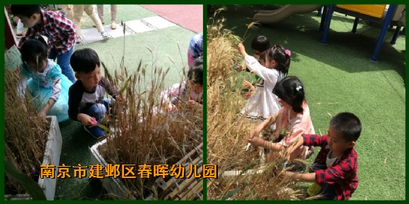 附件：fa4.jpg