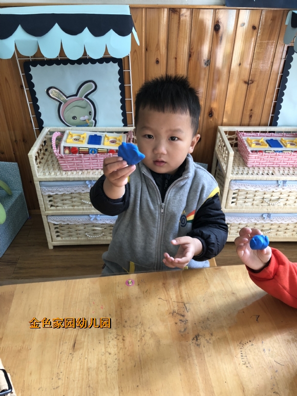 附件：IMG_7238.JPG