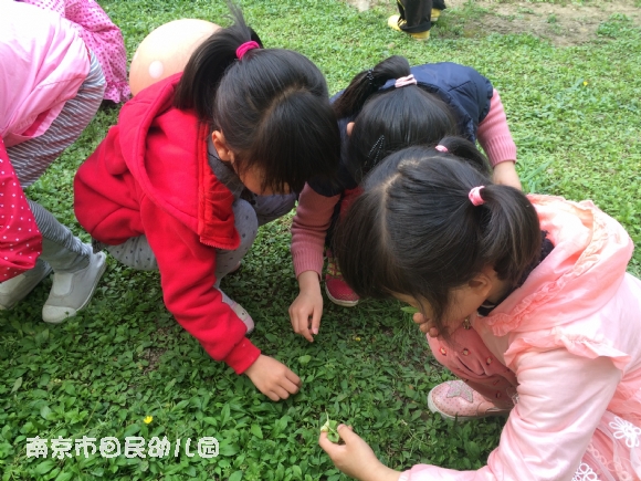 附件：IMG_0117.JPG