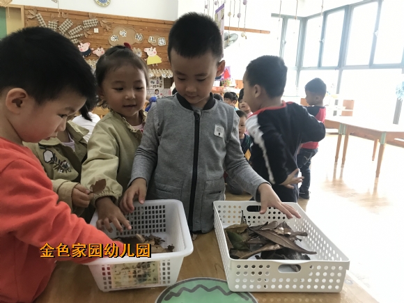 附件：IMG_1889.JPG