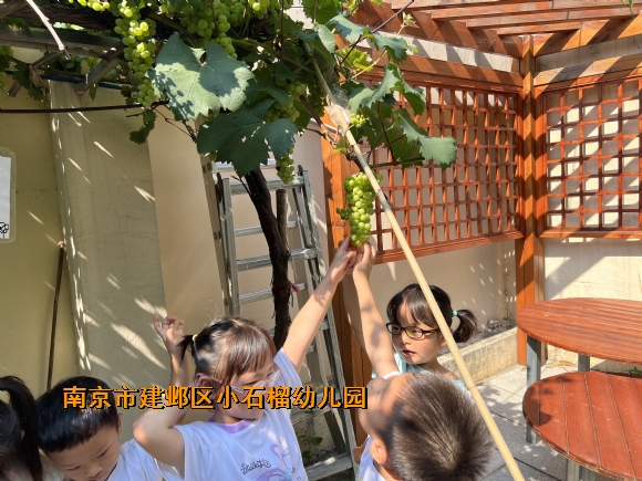 附件：1.JPG