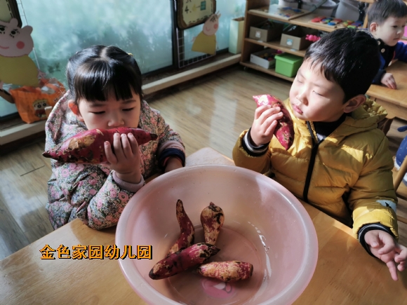 附件：IMG_20201203_104610.jpg