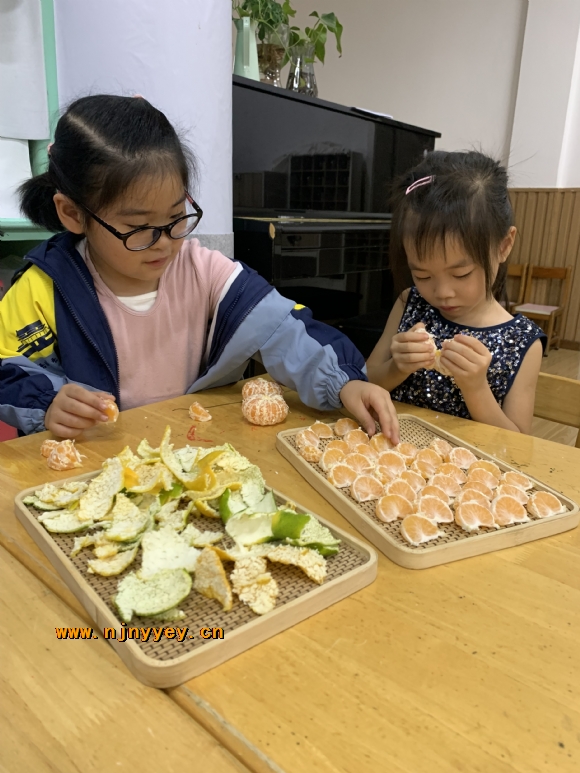 附件：IMG_4491.JPG