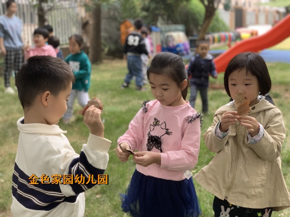 附件：1666854692014.jpg