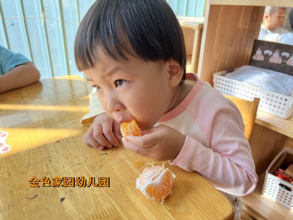 附件：IMG_5626.JPG