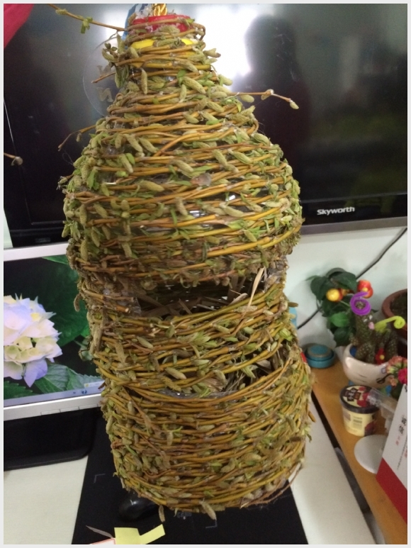 附件:IMG_6768.jpg 建邺教育信息网