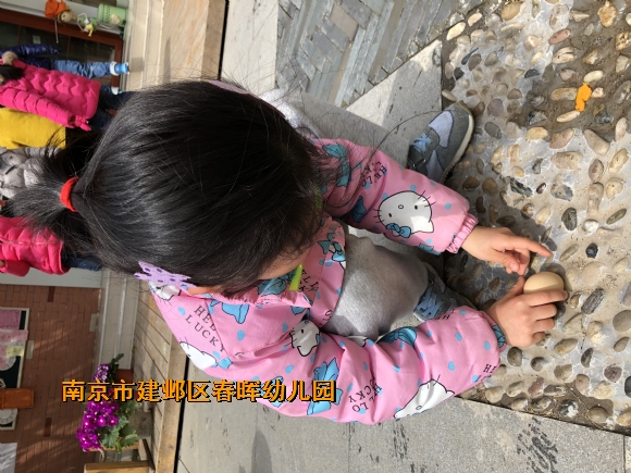 附件：IMG_0673.JPG