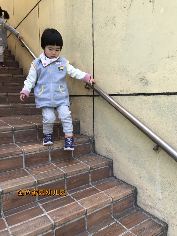 附件：IMG_6767.JPG