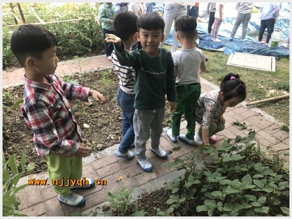 附件：0.jpg