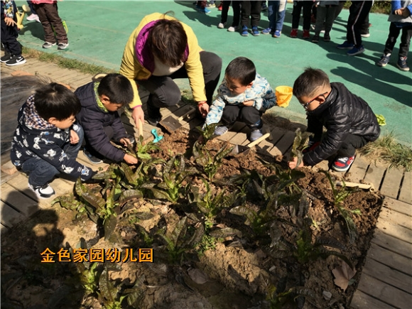 附件：IMG_20190312_094711.jpg