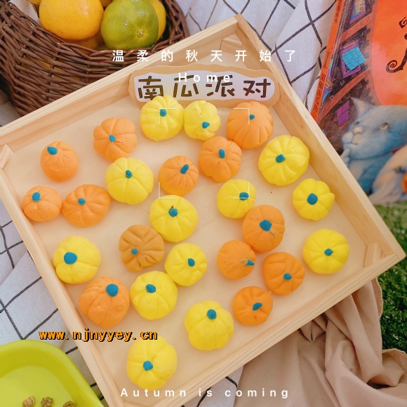 附件：IMG_1874.JPG