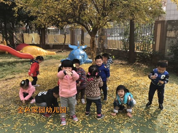 附件：IMG_3839.JPG