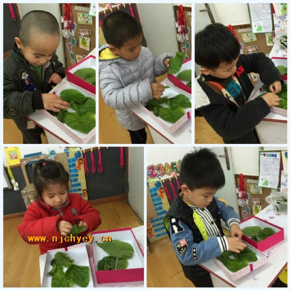 附件：conew_img_2206_conew1.jpg