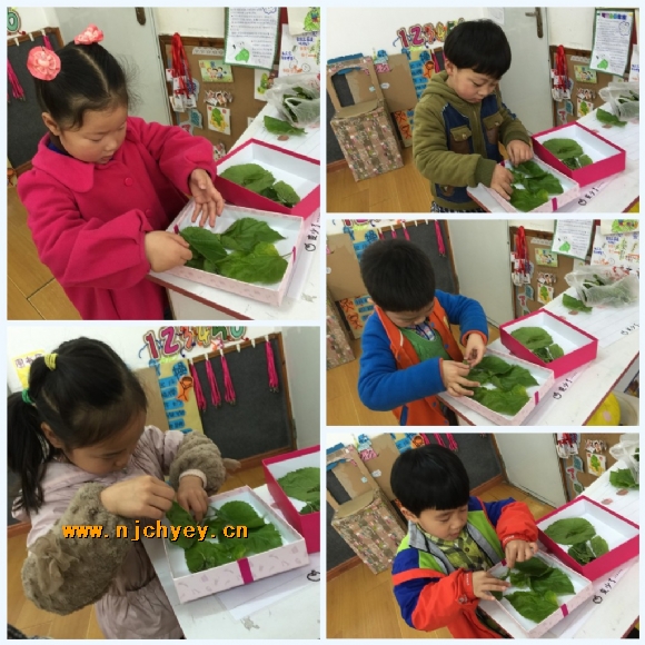 附件：conew_img_2200_conew1.jpg