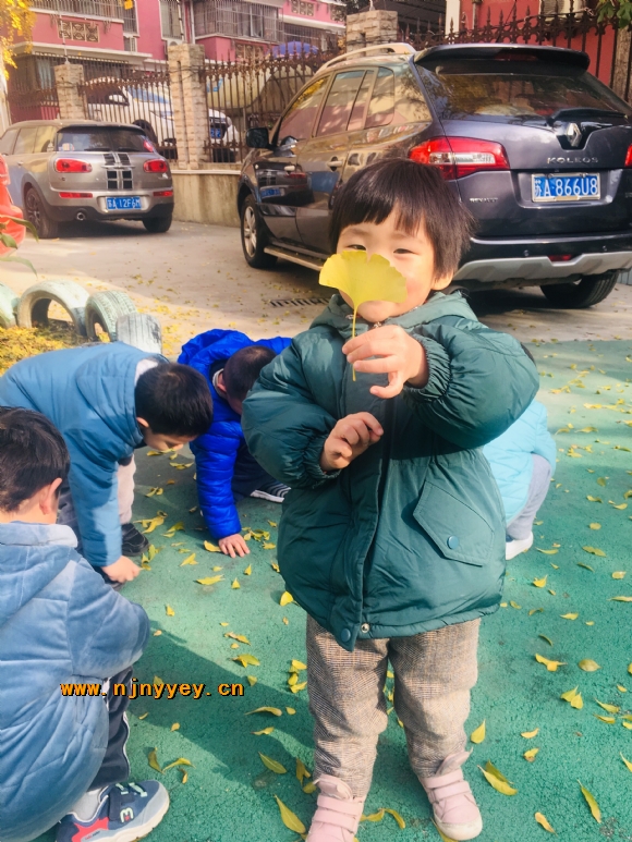 附件：QQ图片20191215160235.jpg