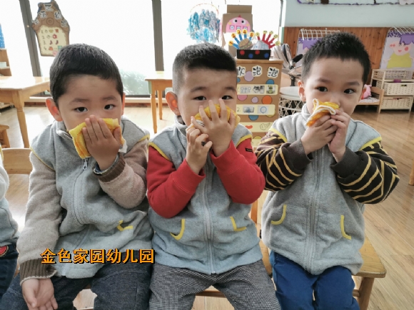 附件：IMG_20201109_090516.jpg