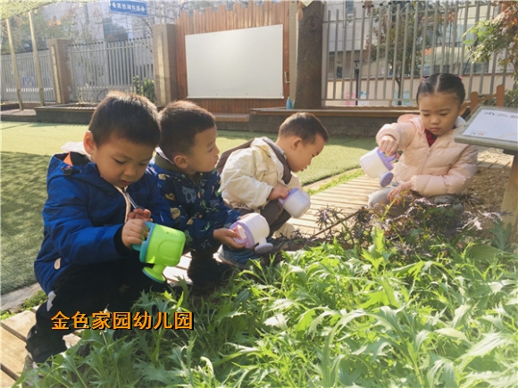 附件：IMG_E3753.JPG