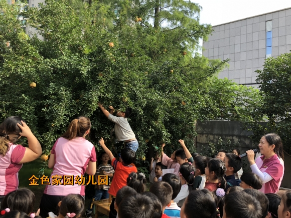 附件：IMG_1265.JPG