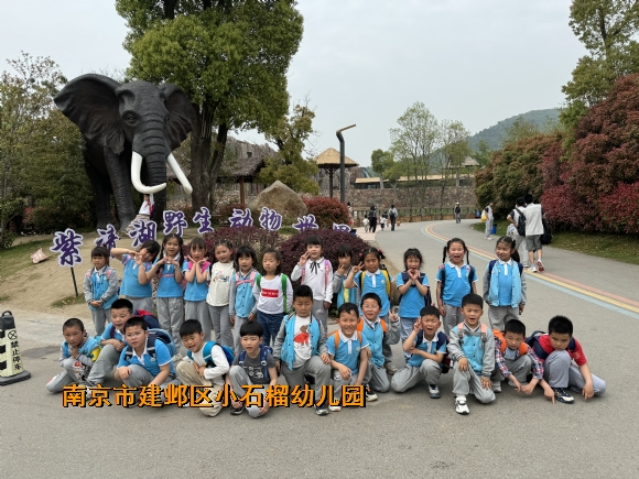 附件：IMG_3180.JPG