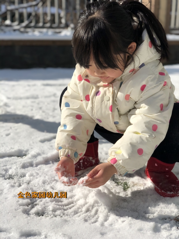 附件：IMG_2210.JPG