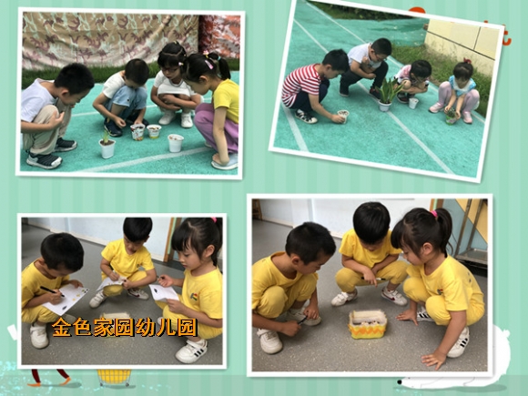 附件：c3.jpg