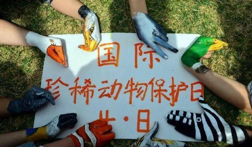 附件：da8a29073925461a90f34d69b774fcca.jpeg