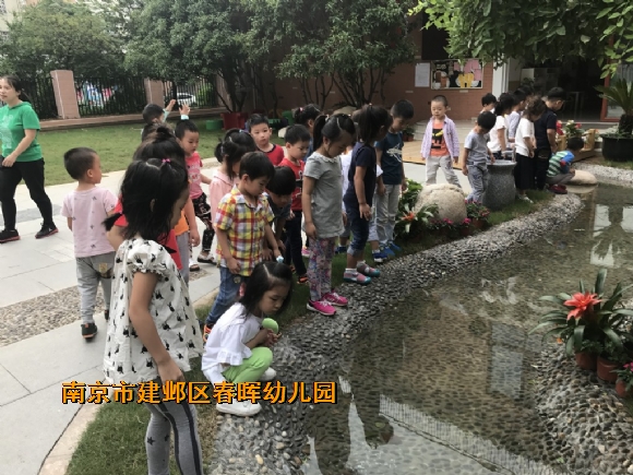 附件：conew_img_8726.jpg
