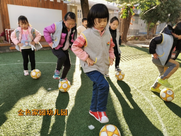 附件：IMG_20221205_151154.jpg