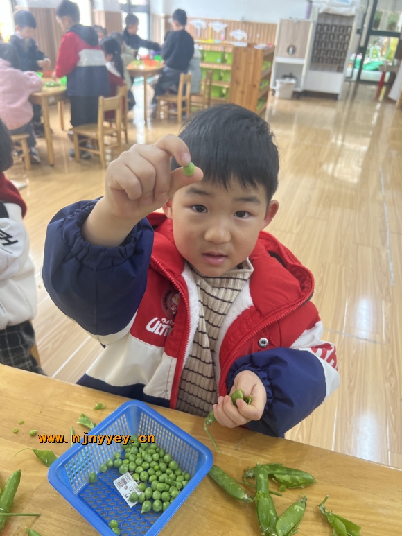 附件：170f95e94cdb1a7d3b7a43a7493205b.jpg
