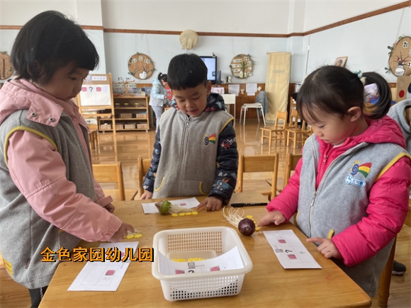 附件：IMG_9937.jpg