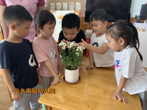 附件：e1d11f5393f296e8a06ab94d562854e4.jpg