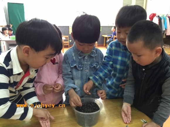 附件：conew_img_1892.jpg