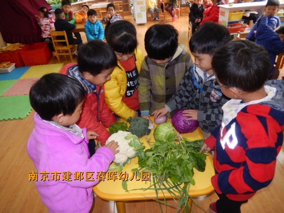 附件：DSCN4298.JPG