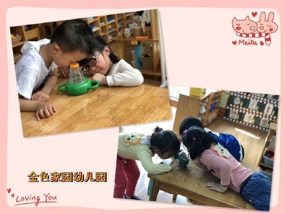 附件：1.jpg