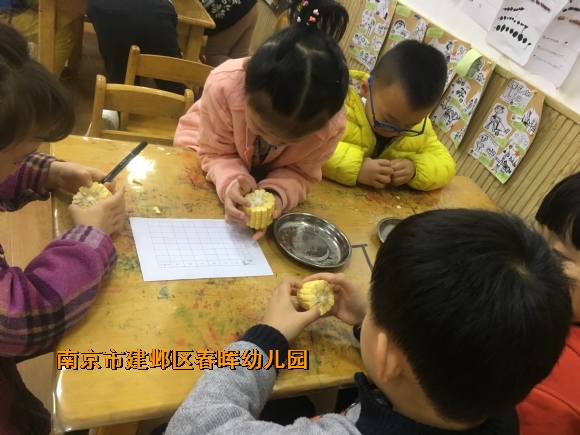 附件：IMG_0194.JPG