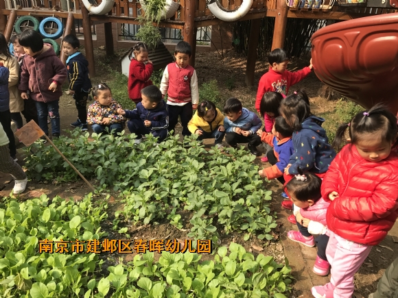 附件：新建文件夹IMG_2600.JPG