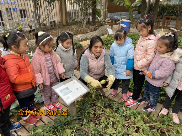 附件：IMG_5378.JPG