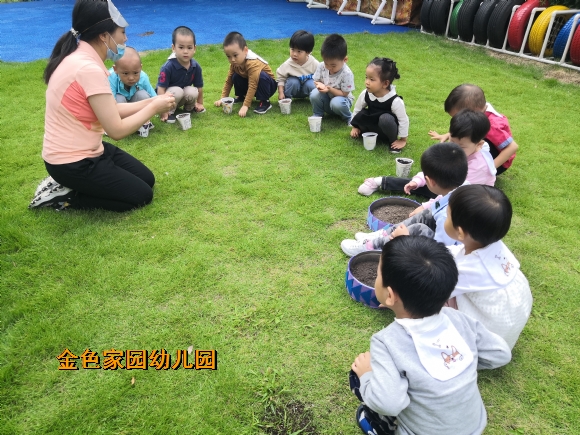 附件：IMG_20200923_095748.jpg