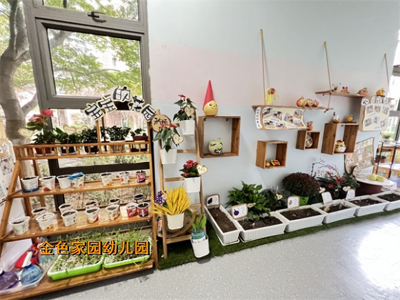 附件：IMG_4665.JPG
