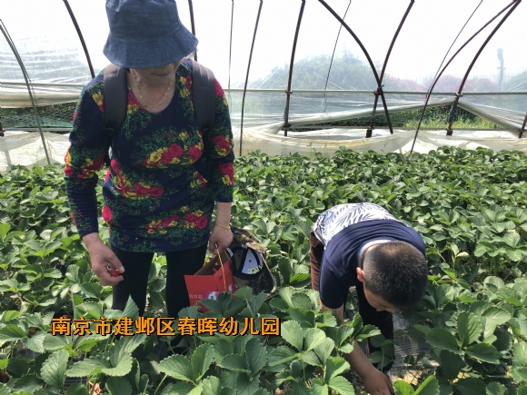 附件：IMG_4150.JPG