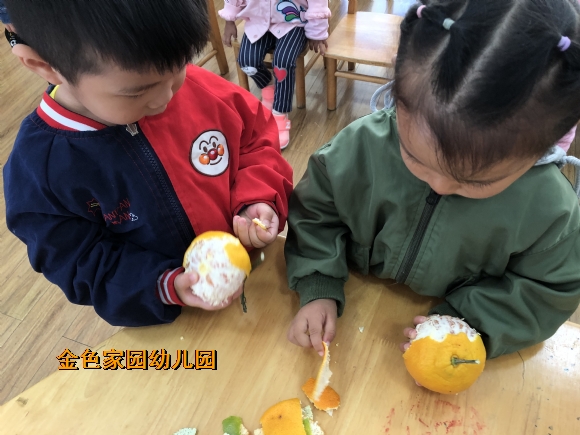 附件：IMG_3181.JPG